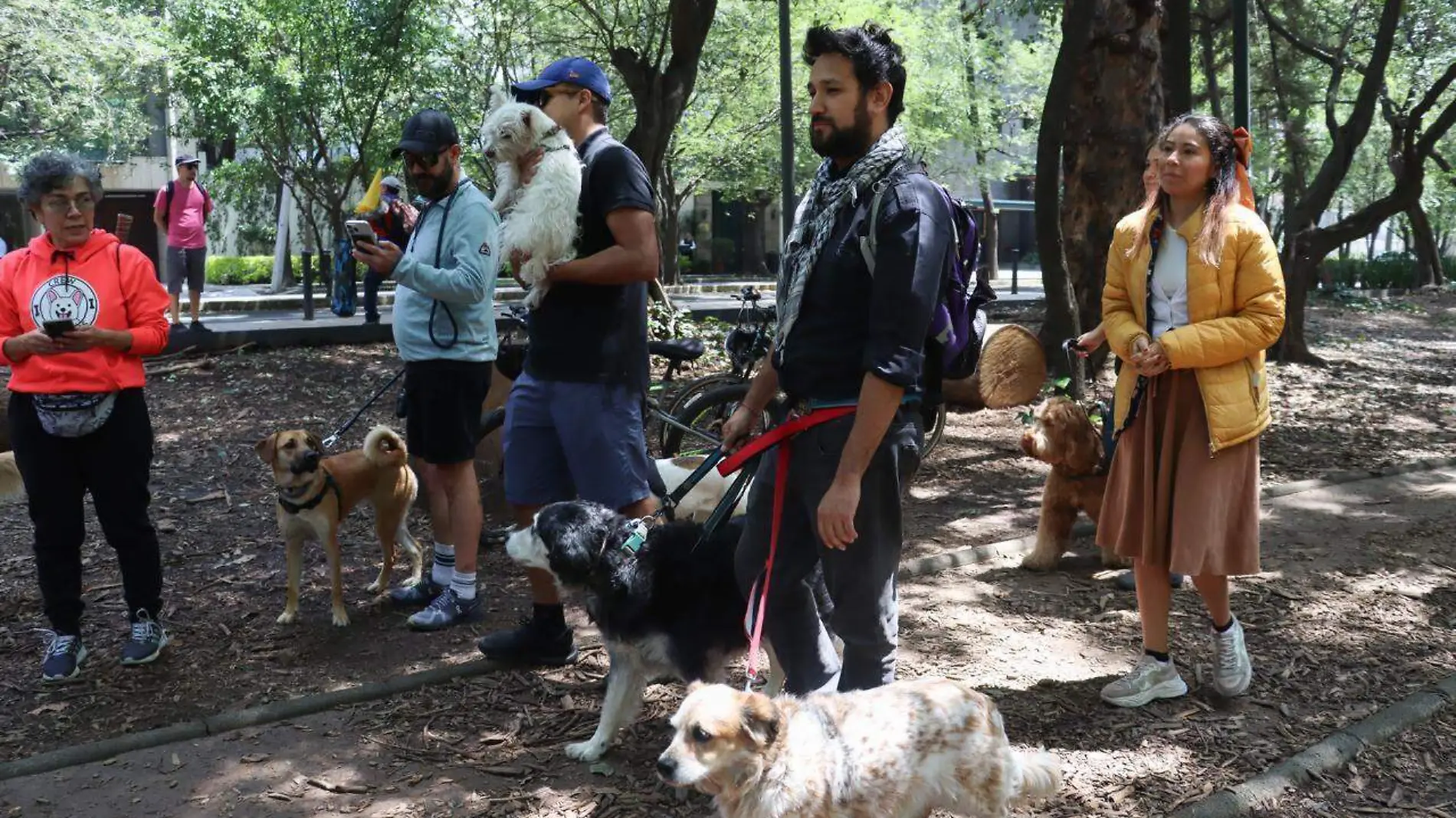 Parque Canino Gandhi IVONNE RODRIGUEZ